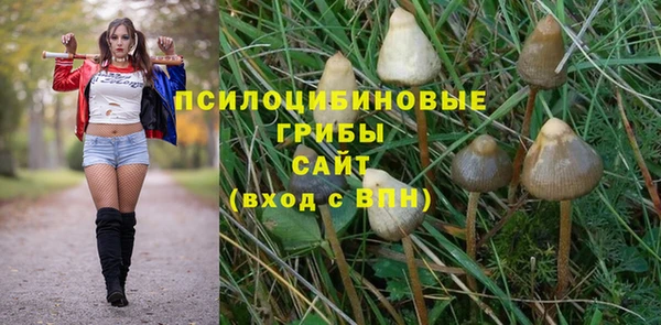 синтетический гашиш Костерёво
