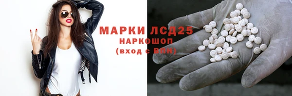 стафф Коряжма