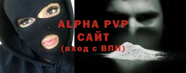 стафф Коряжма