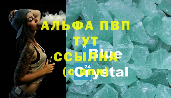 стафф Коряжма