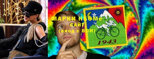 стафф Коряжма