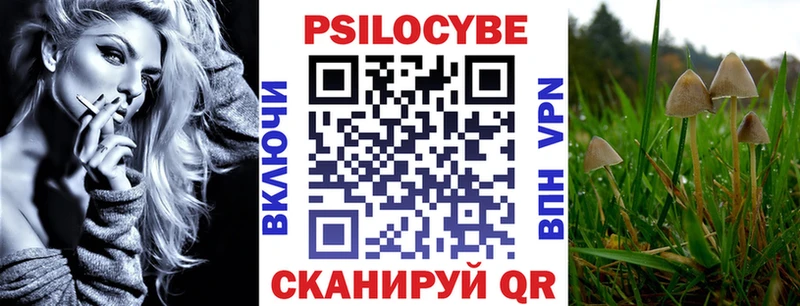 Псилоцибиновые грибы Psilocybe  мега зеркало  Березники 