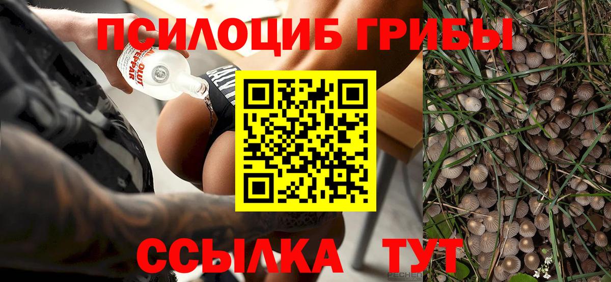 Березники  Галлюциногенные грибы GOLDEN TEACHER  Вход с VPN 